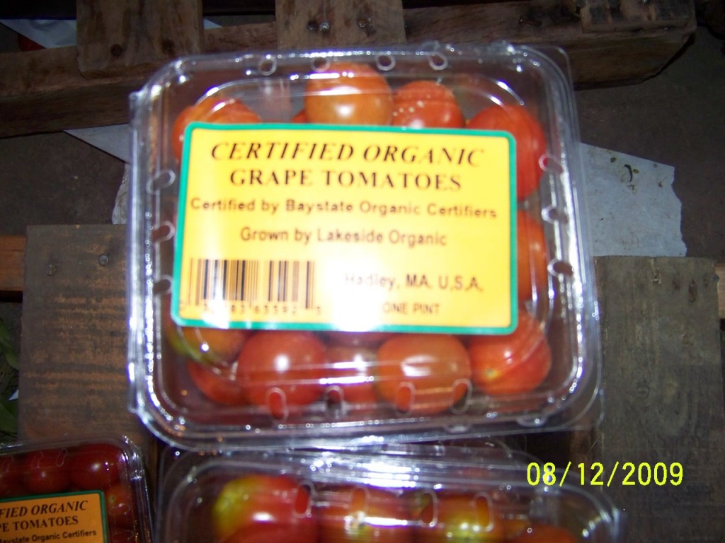 tomatoes 002